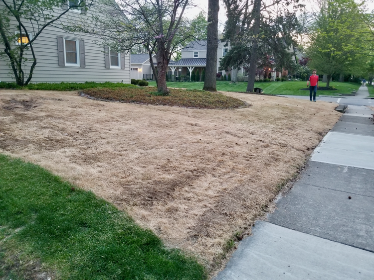 "Honey, I'm Killing the Lawn. On purpose."